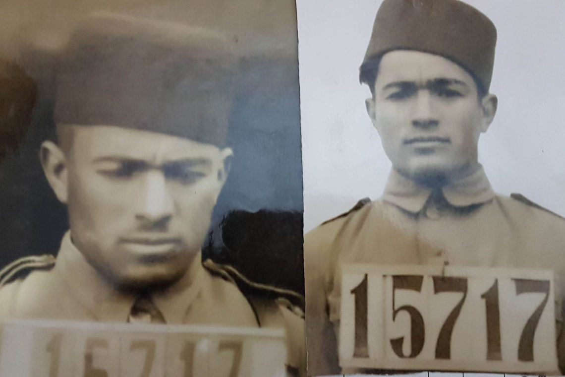 imagen de un canguro