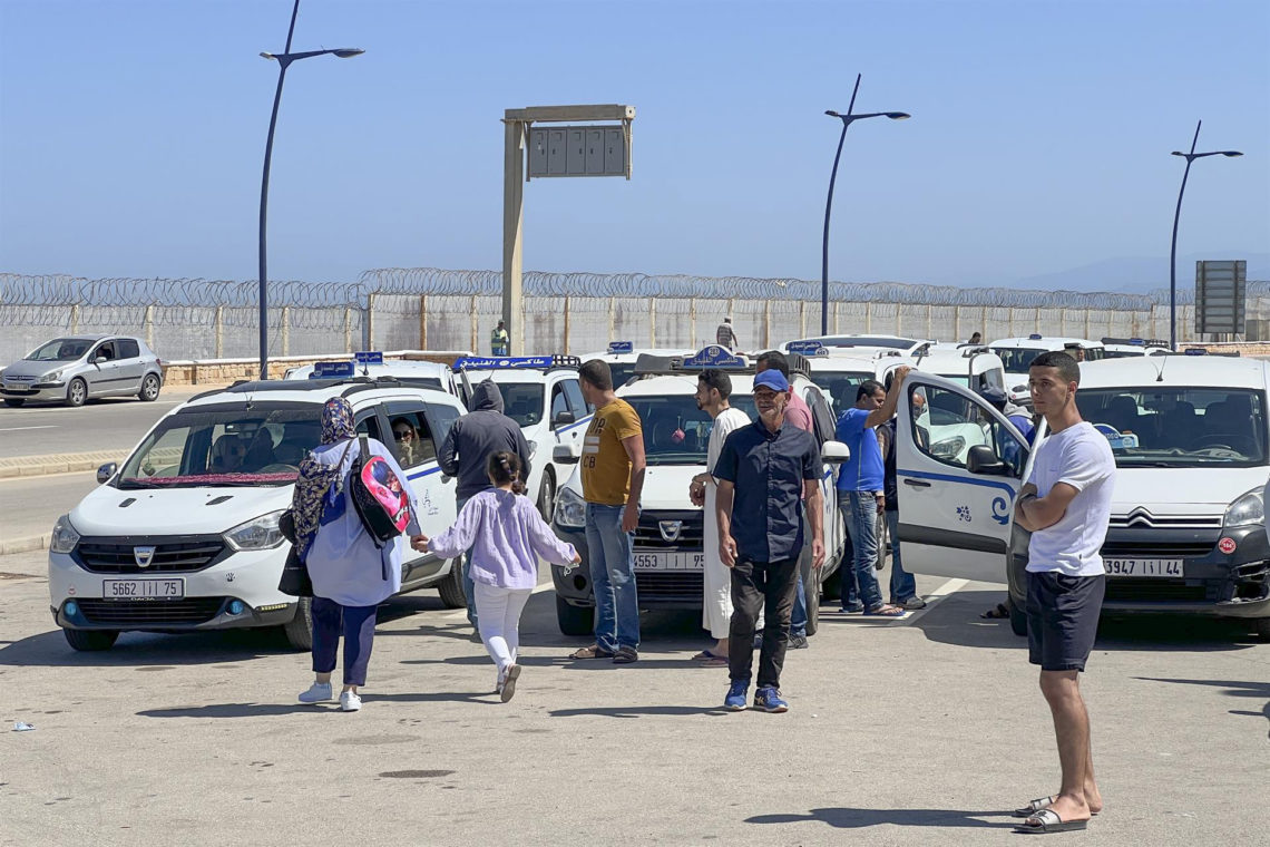 imagen de un canguro